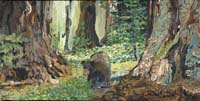 BlackCurrentBear