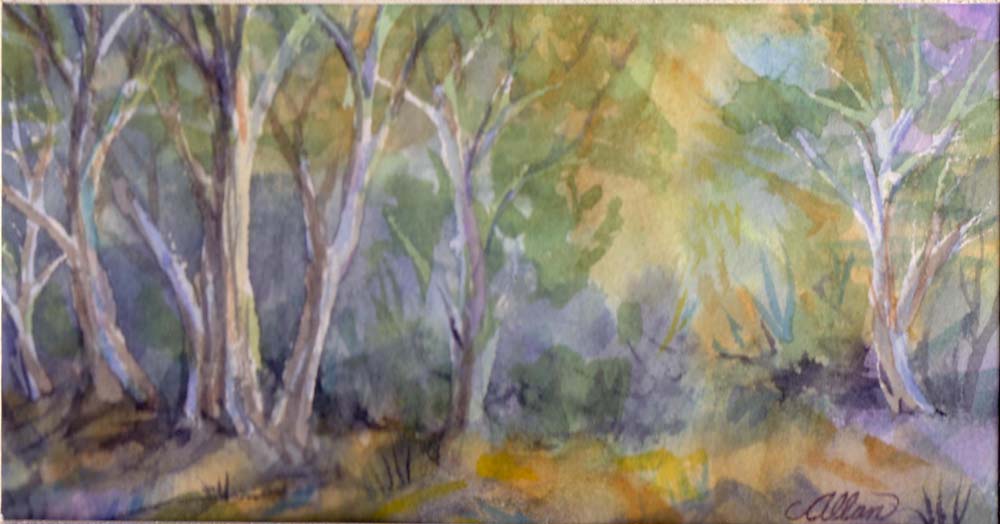 Forest1 (2)