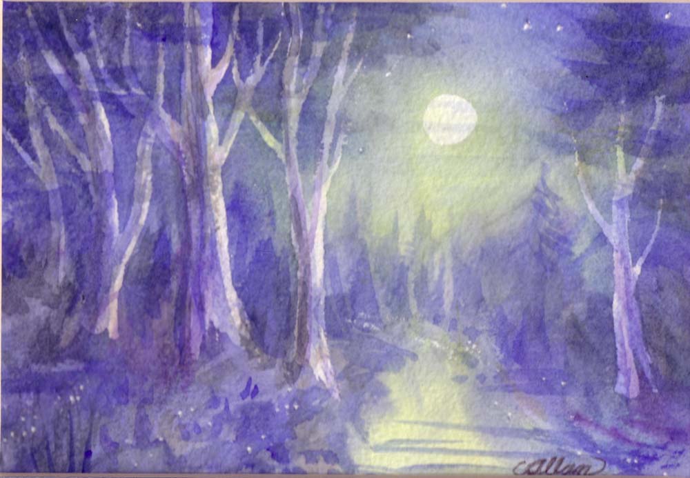 ForestNight1 (2)