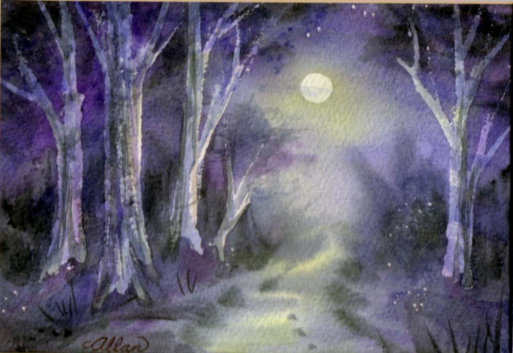 ForestNight2