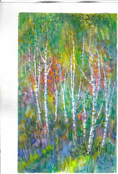 Delicate_Forest