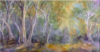 Forest1 (2)