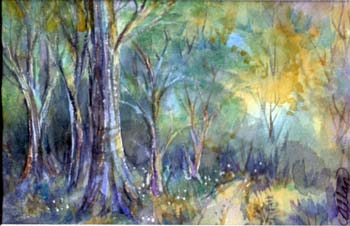 Forest2