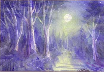 ForestNight1 (2)