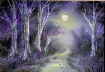 ForestNight2