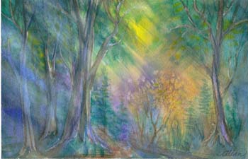 forest 3