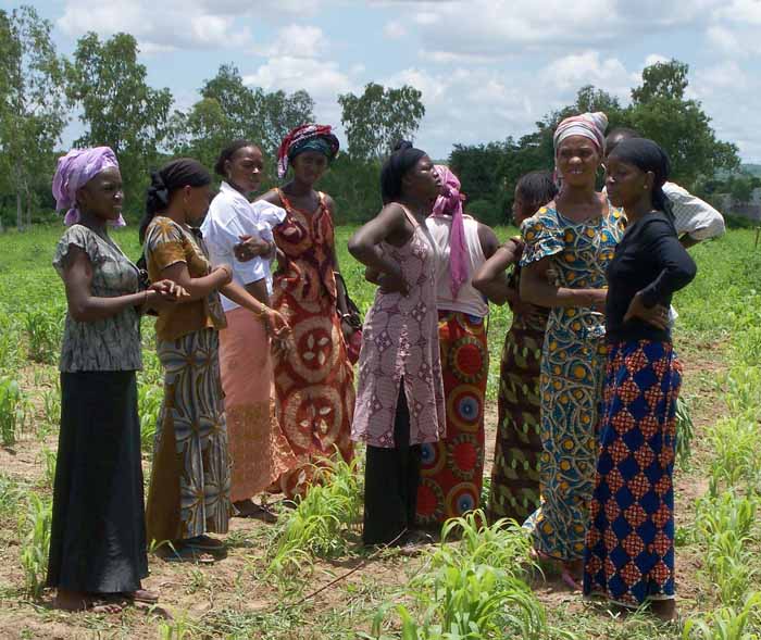 4 A en travaux d'entretien