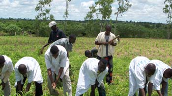 3 A en travaux entretien