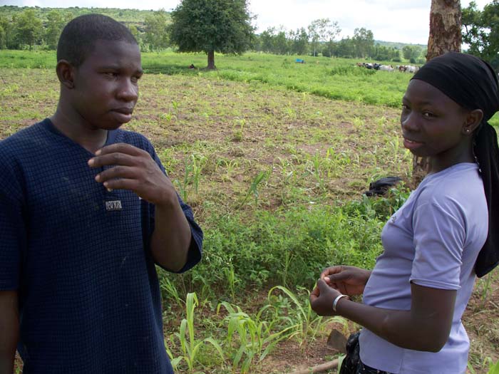 1  dans les parcelles 