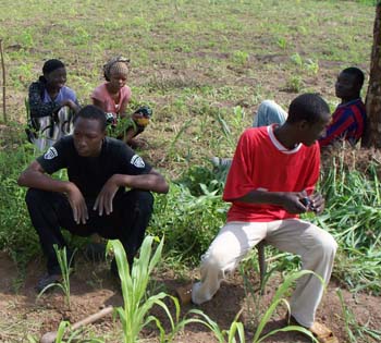 1  en travaux pratiques