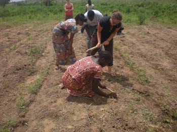 01 1 semis du sorgho 