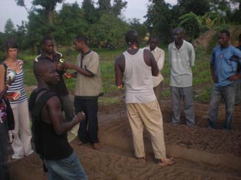 05a 4 tomates et au#11221E6