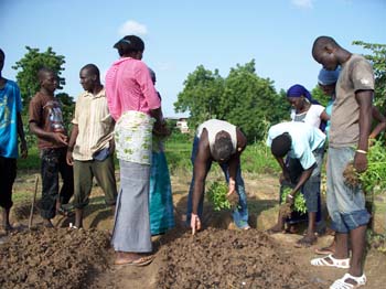 10  en seance de TP#111FA87