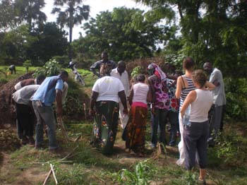 12 4 au potager pou#111FA8A