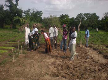 15 des planches au potager