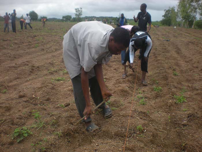 30 semis par la 3 dont