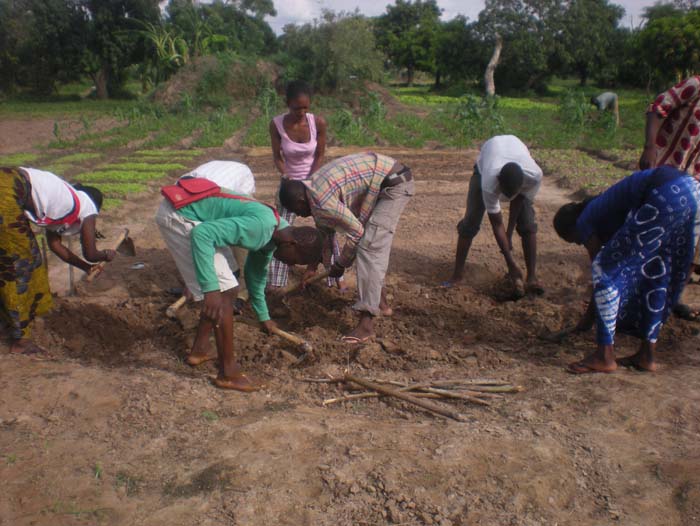 36 Confection des p#111FAA6