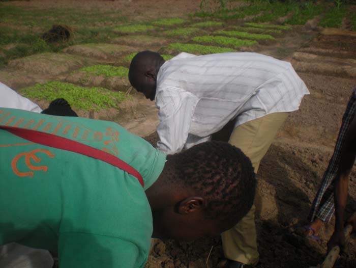 39 Demonstration au potager