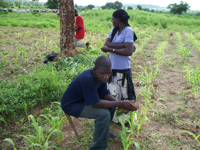 45 S El de la 1 en TP