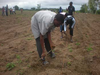 30 semis par la 3 dont